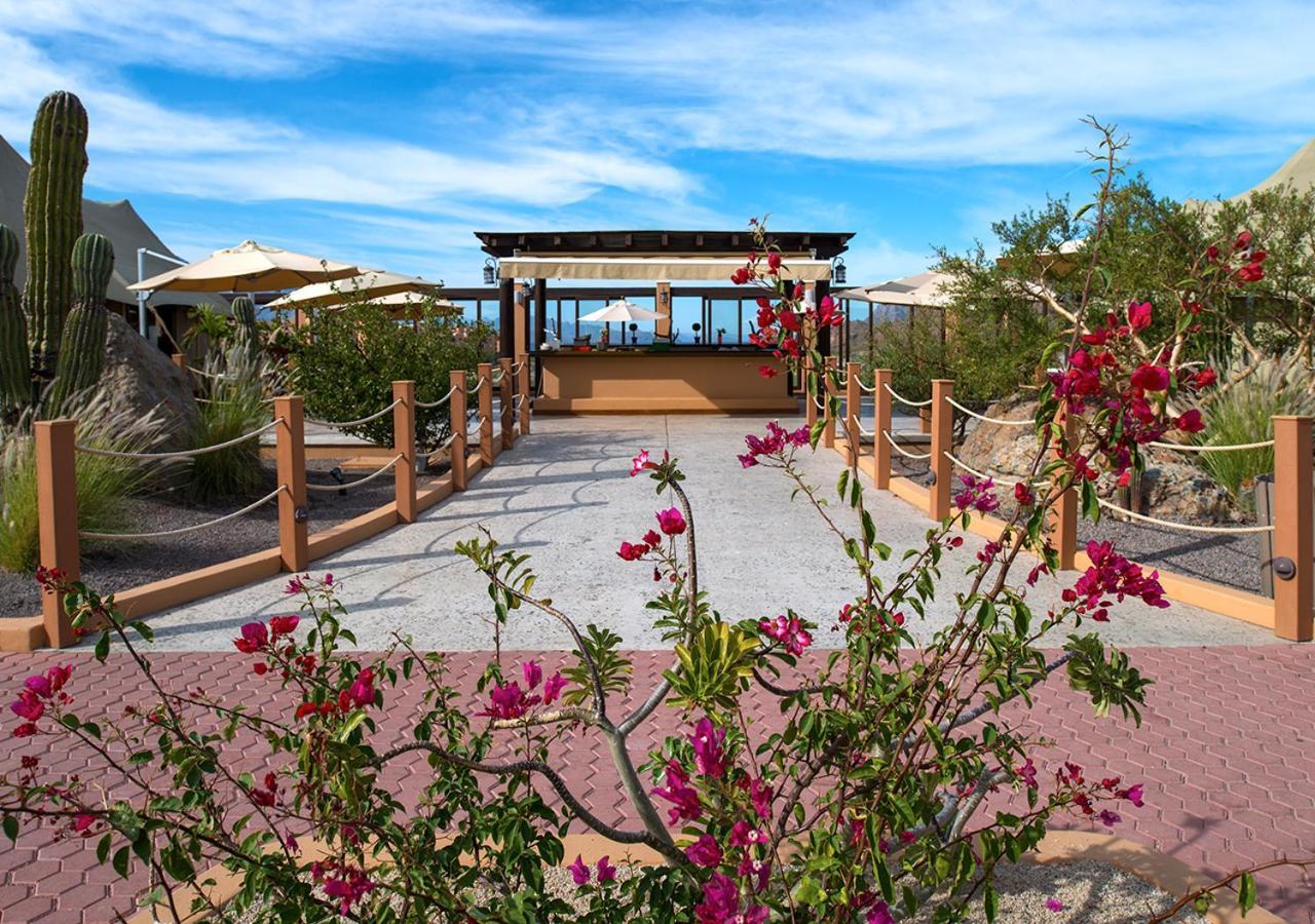 Villa Del Palmar At The Islands Of Loreto Loreto  Zewnętrze zdjęcie